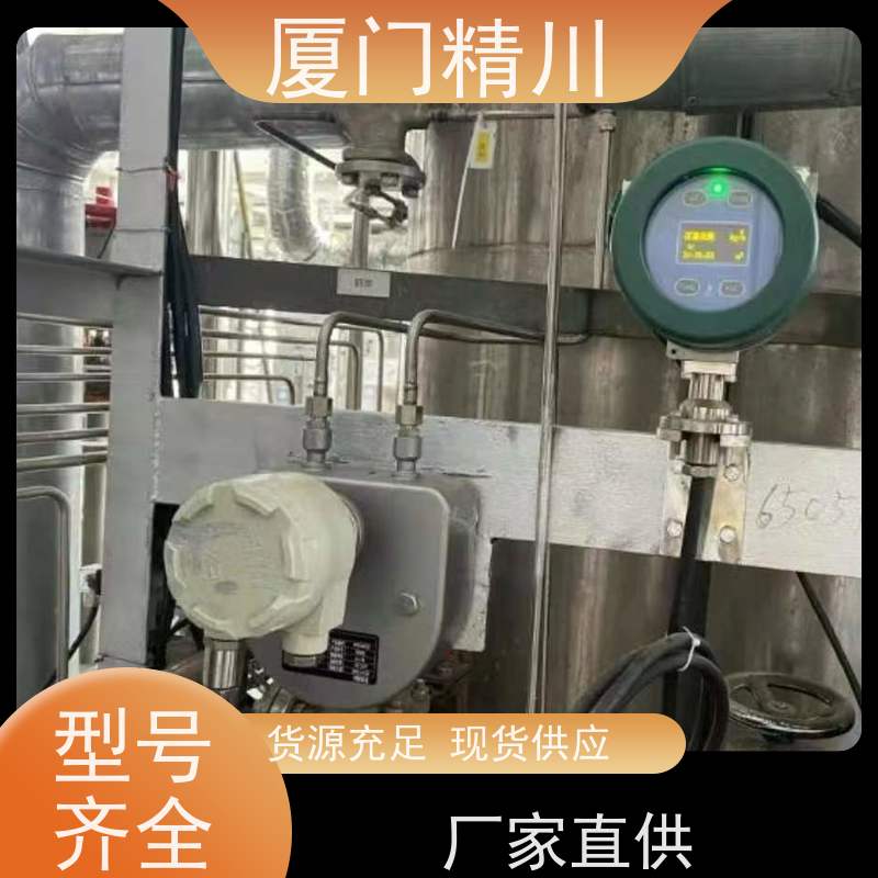 精川股份 设备配套质量流量计 接液316L材质 更放心