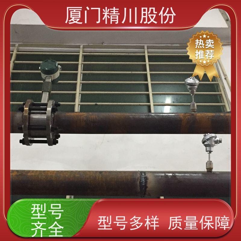 精川股份 橡胶厂 导热油热量表 精度高 安装简单