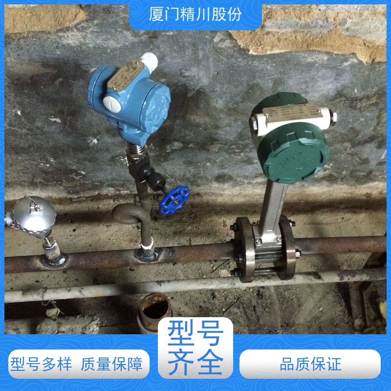 精川股份人造革厂二氧化碳流量计体积小真实应用案例多