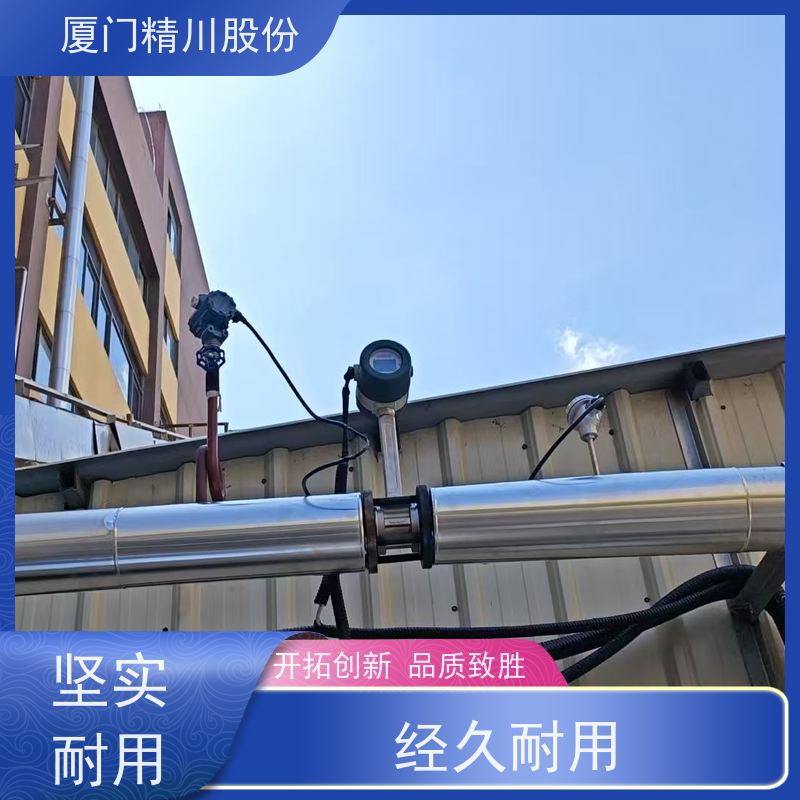 精川股份 印染厂 涡街流量计 一体式温压补偿 支持免费选型