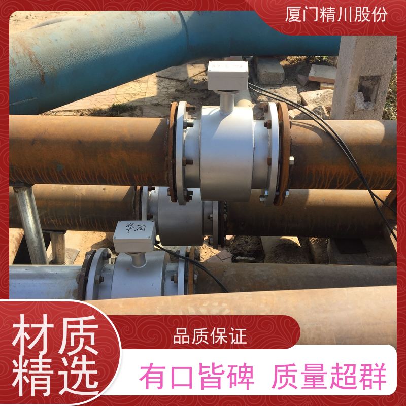 精川股份食品厂陶瓷电极电磁流量计带接地环经久耐用