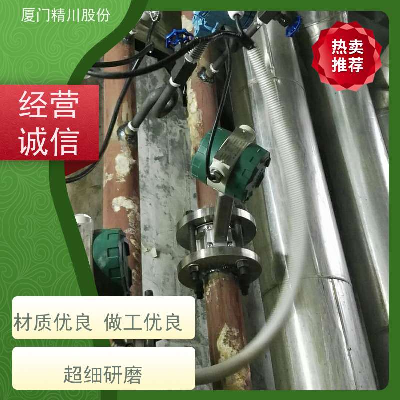 精川股份食品厂压缩空气流量计分体式温压补偿维护量少