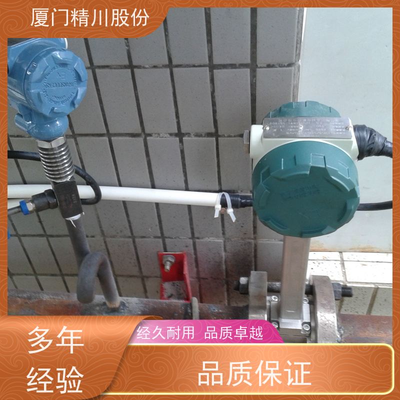 精川股份 胶带厂 蒸汽涡街流量计 可耐温350度 源头生产厂家