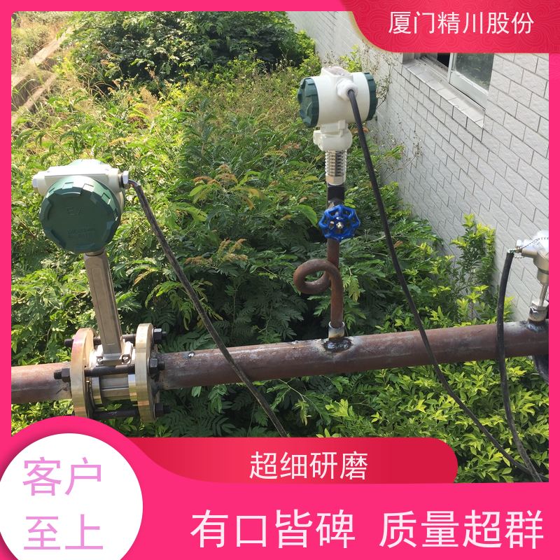 精川股份 皮革厂 涡街蒸汽流量计 分体式温压补偿 应用广泛