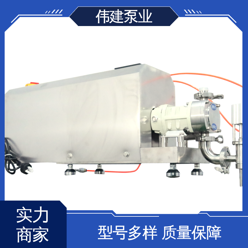 伟建定制 304不锈钢材质 蜂蜜糖蜜定量灌装泵 体积小重量轻 防拉丝