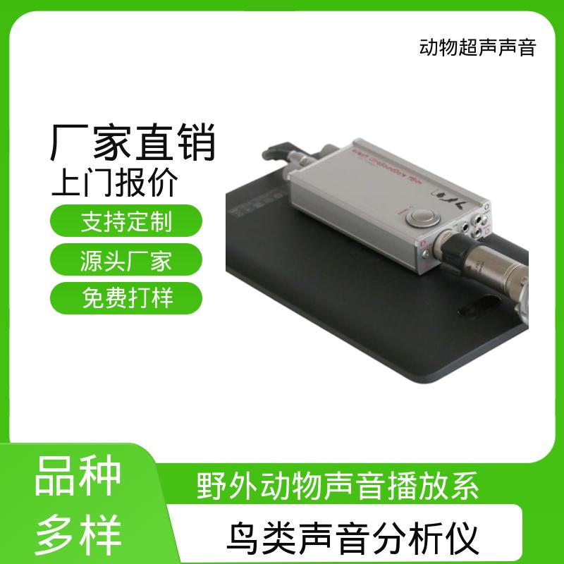 德国Avisoft 野外鸟类声音分析仪 80 x 42 x 130 厂家供应 现货充足