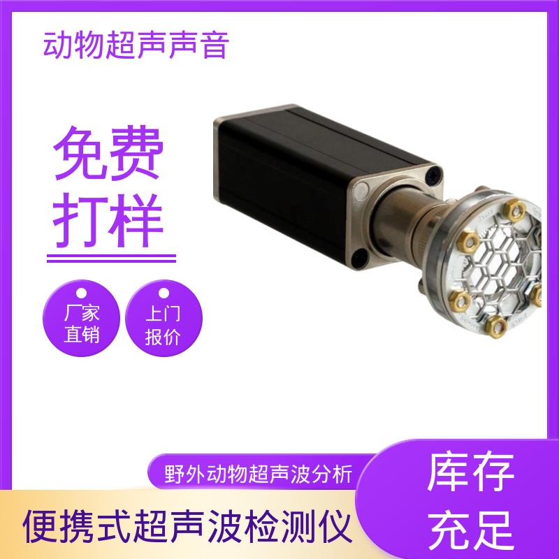 德国Avisoft 超声波检测仪 输入阻抗 50 kΩ 实力厂家 品质优越