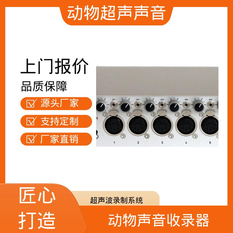 德国Avisoft 野外动物声音播放系统 80 x 42 x 130 厂家制造供应