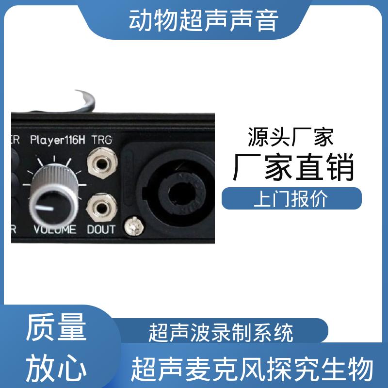 德国Avisoft 通道超声波 80 x 42 x 130 实力厂家 品质优越