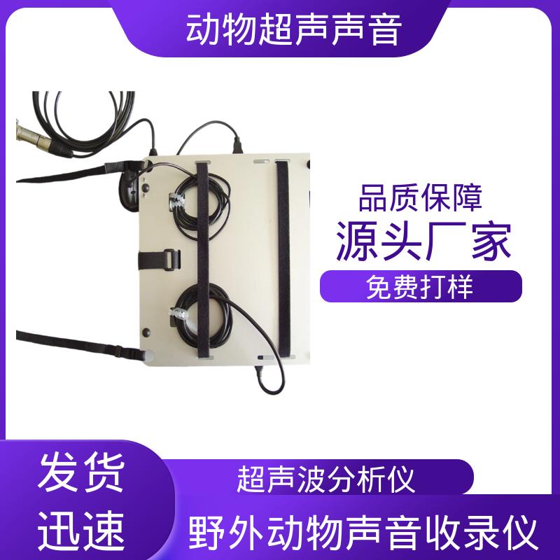 德国Avisoft 音频超声波 80 x 42 x 130 源头厂家 品类齐全