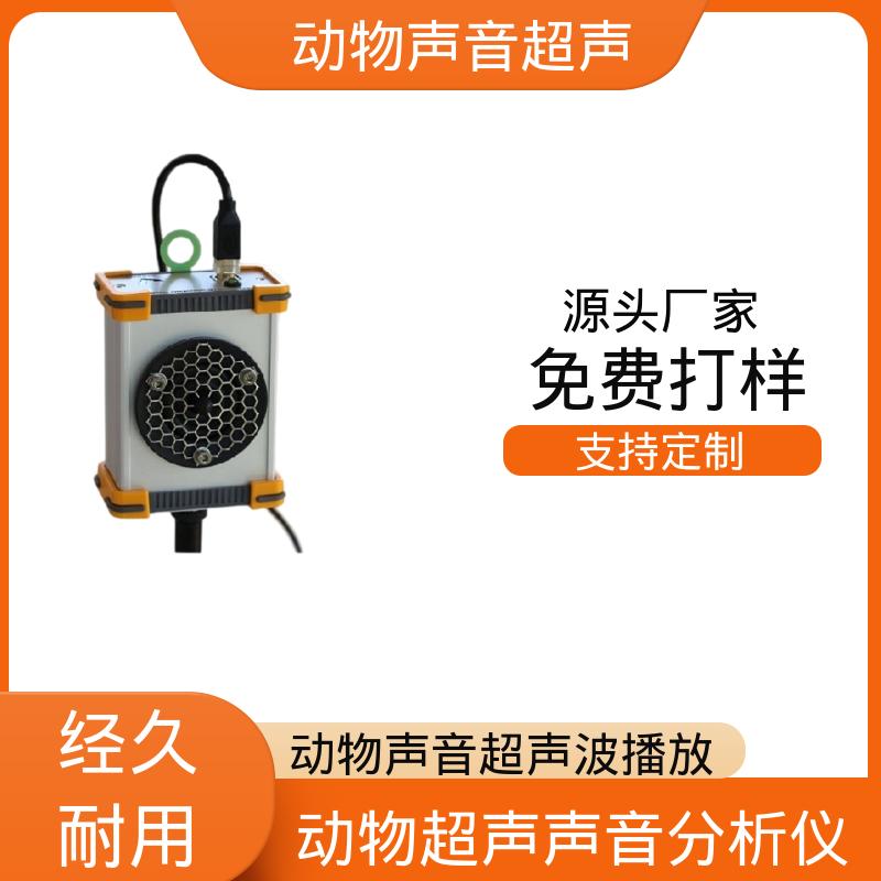 德国Avisoft 鸟类声音记录仪 85x35 x190 mm 厂家制造供应