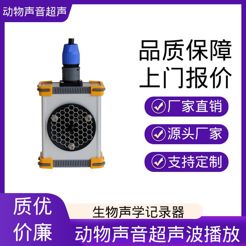 德国Avisoft 超声波放大器 电源电流400 mA 实力厂家 品质优越