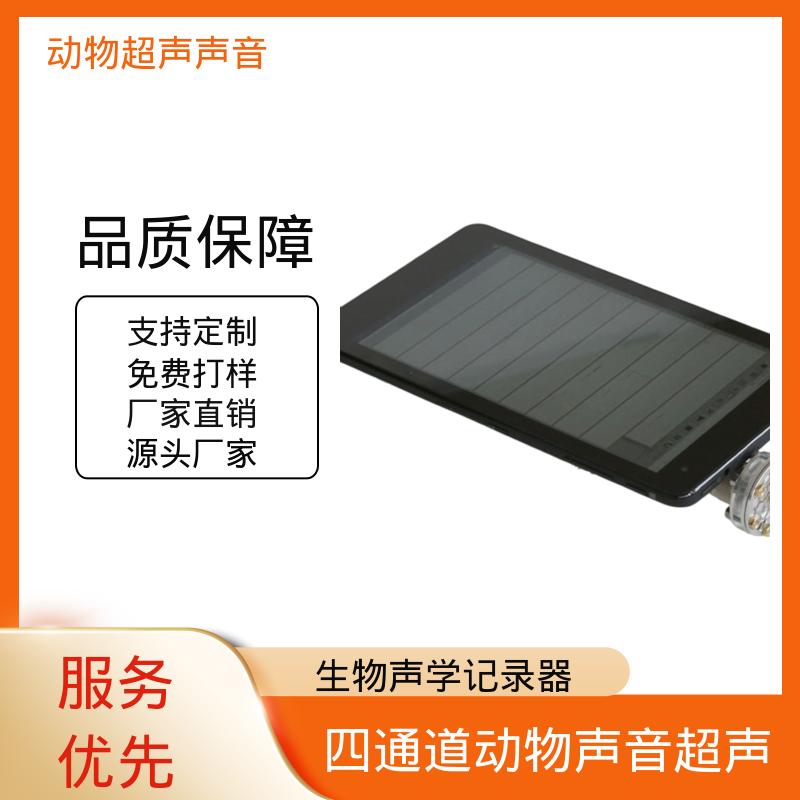 德国Avisoft 全自动超声波检测仪 80 x 42 x 130 厂家供应 现货充足