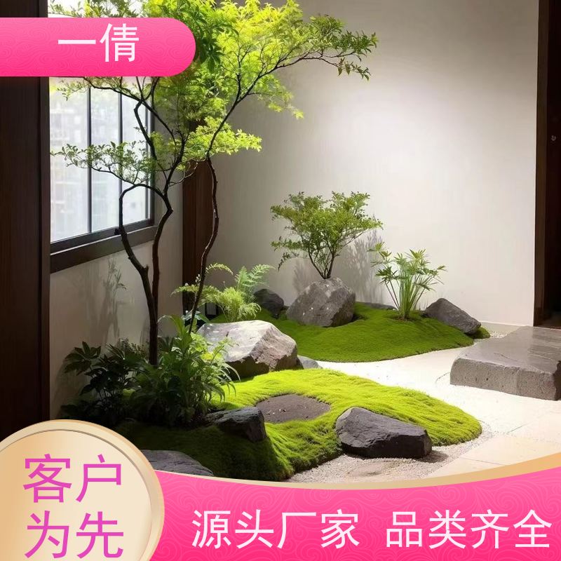 一倩花卉 前台 翡翠 绿植出售 种类繁多 规格齐全