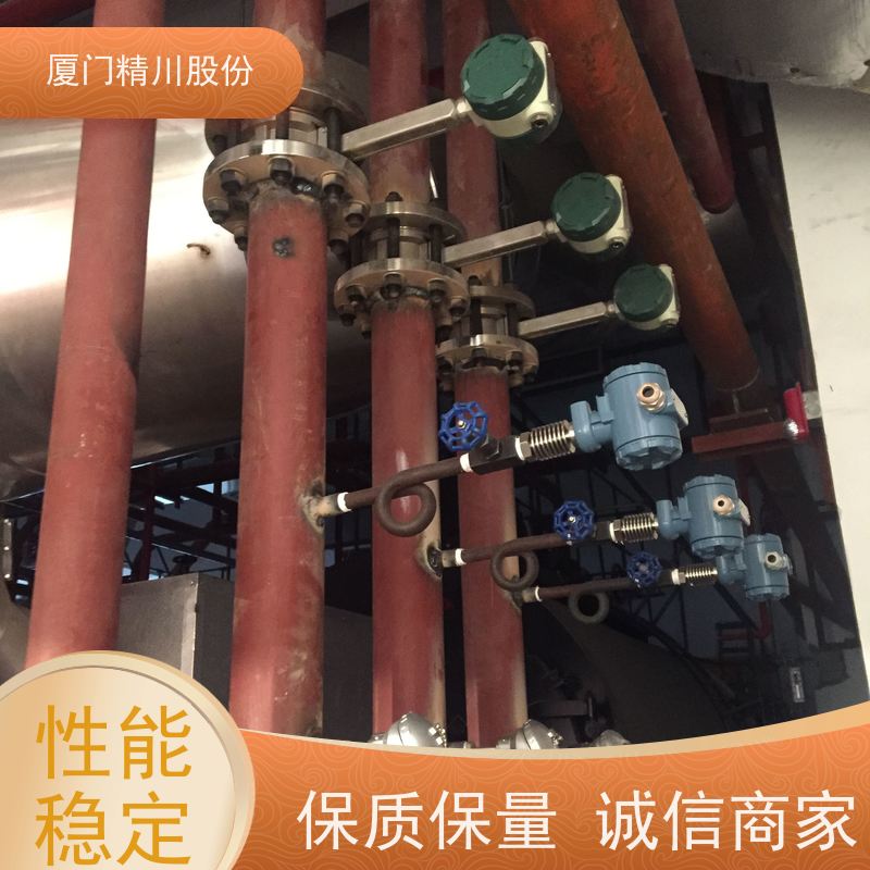 精川股份 食品厂 压缩空气流量计 工作时间长 服务量少