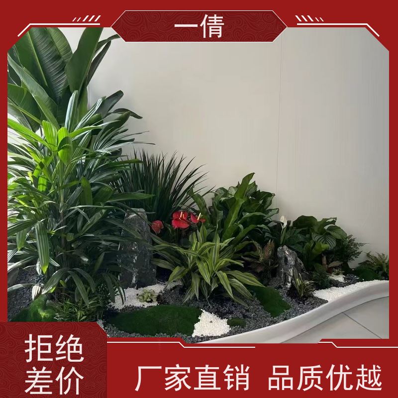 一倩花卉 深圳 大杨贵妃 开业花篮租赁 全城配送 上门养护