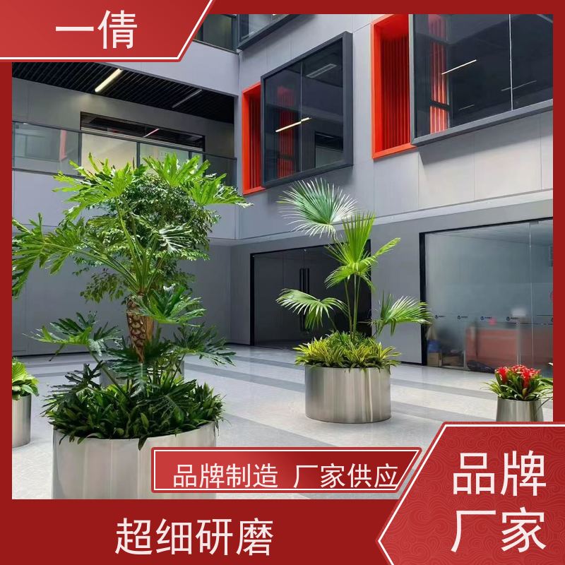 一倩花卉 前台 红玉珠 室内植物出租 种类繁多 规格齐全