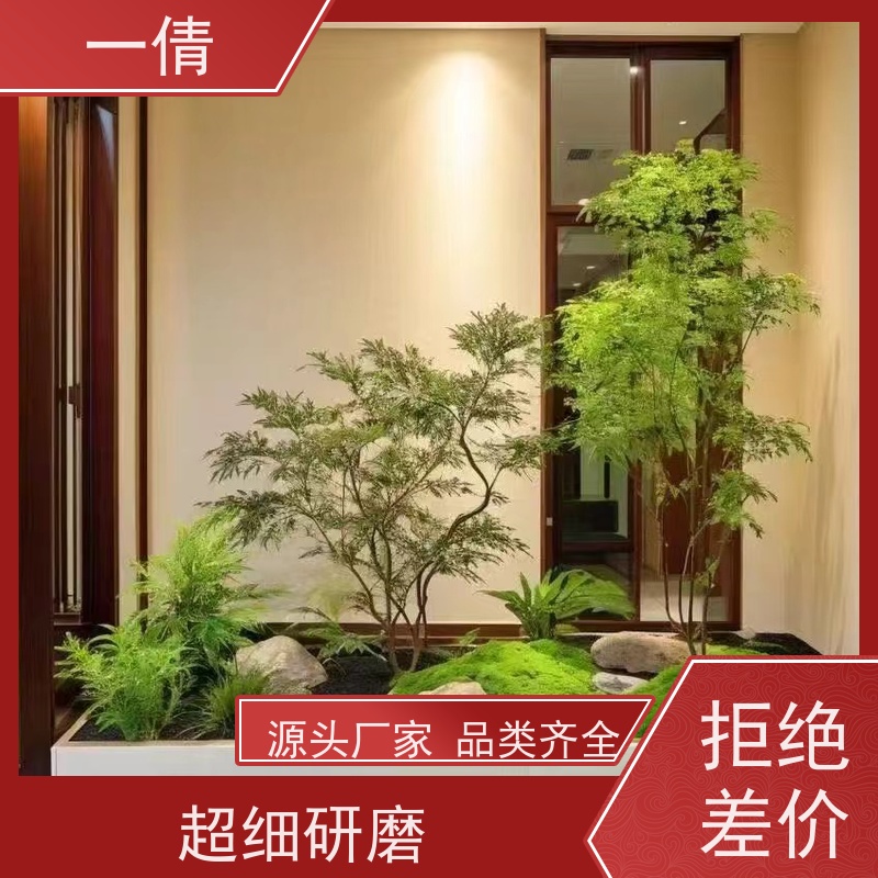 一倩花卉 室内 小仙女海芋 绿植租摆 全城配送 上门养护