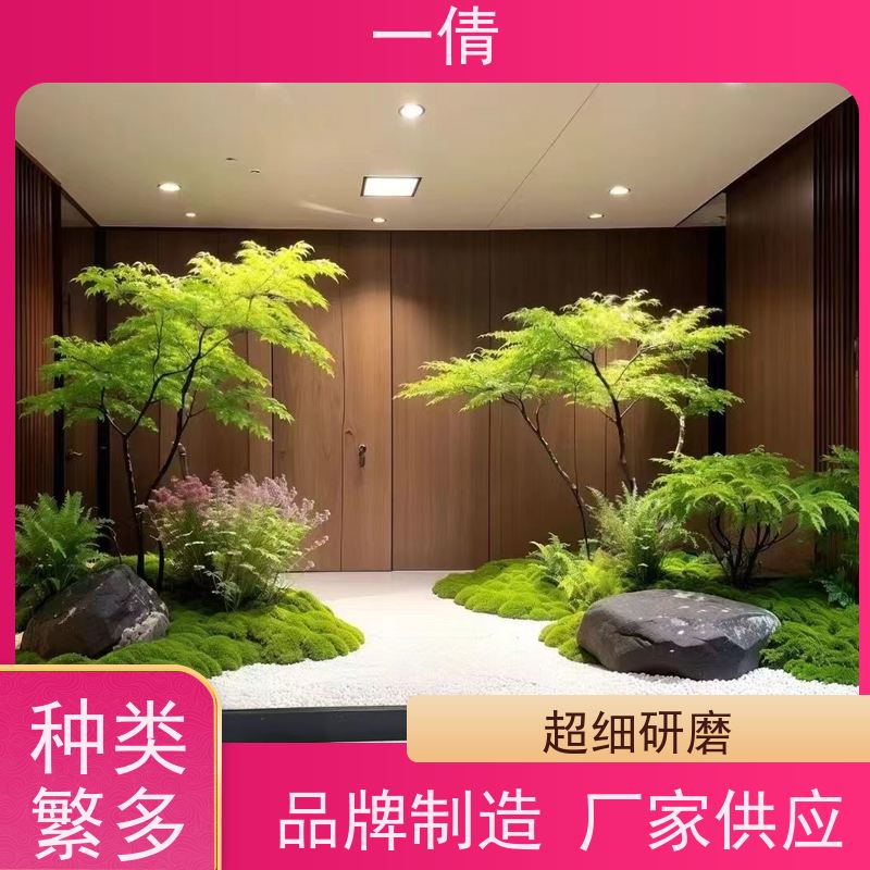 一倩花卉 办公室 小罗汉松 绿植出售 全城配送 上门养护