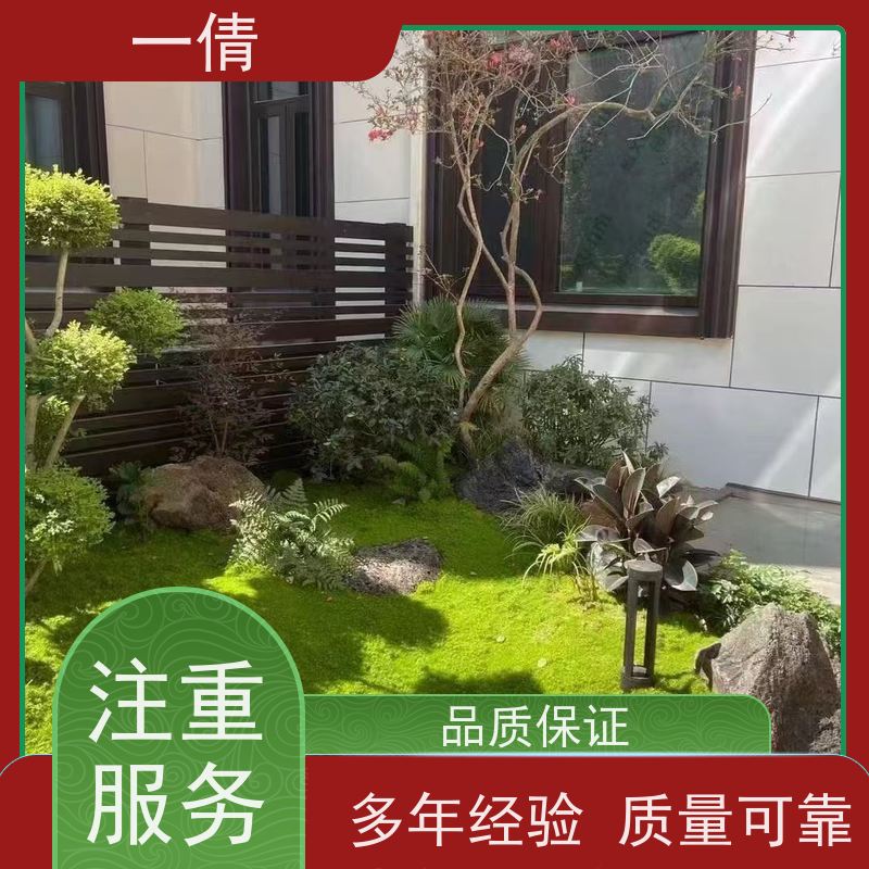 一倩花卉 前台 满堂红 绿植租赁 种类繁多 规格齐全