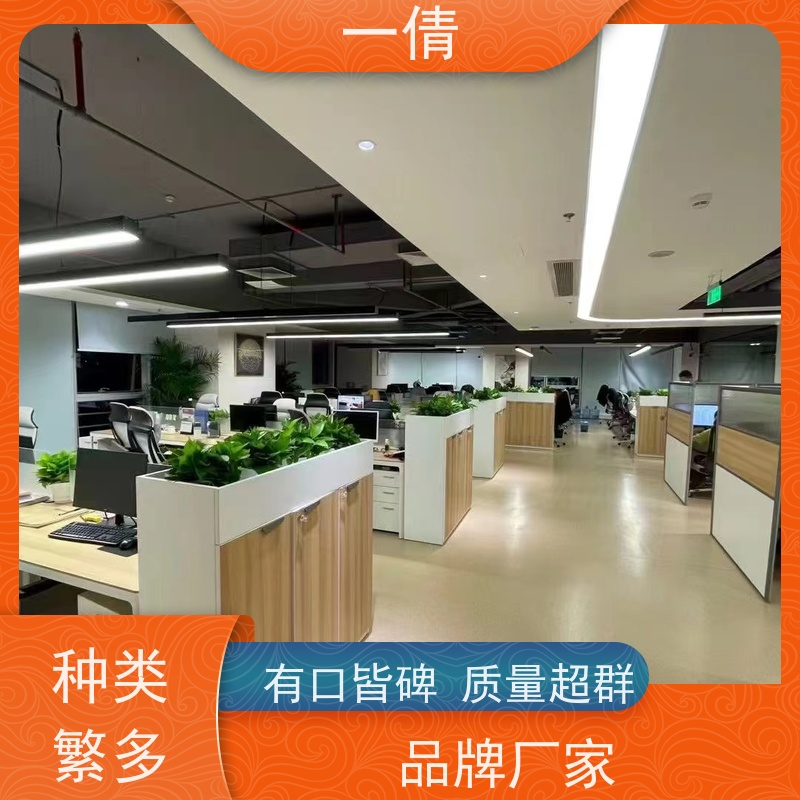 一倩花卉 深圳 中杨贵妃 绿植租赁 全城配送 上门养护