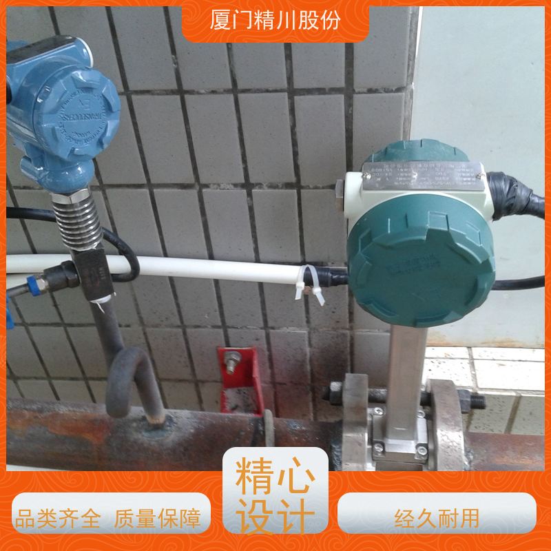 精川股份 制革厂 过热蒸汽流量计 分体式温压补偿 支持免费选型