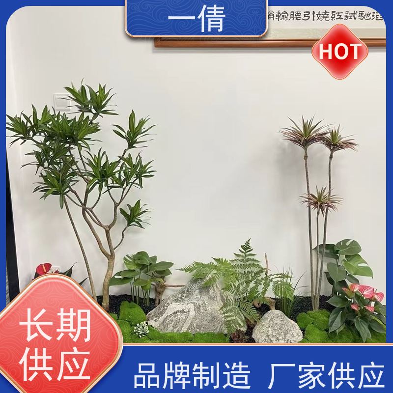 一倩花卉 前台 君子兰 绿植出售 桌面绿植 花木护理