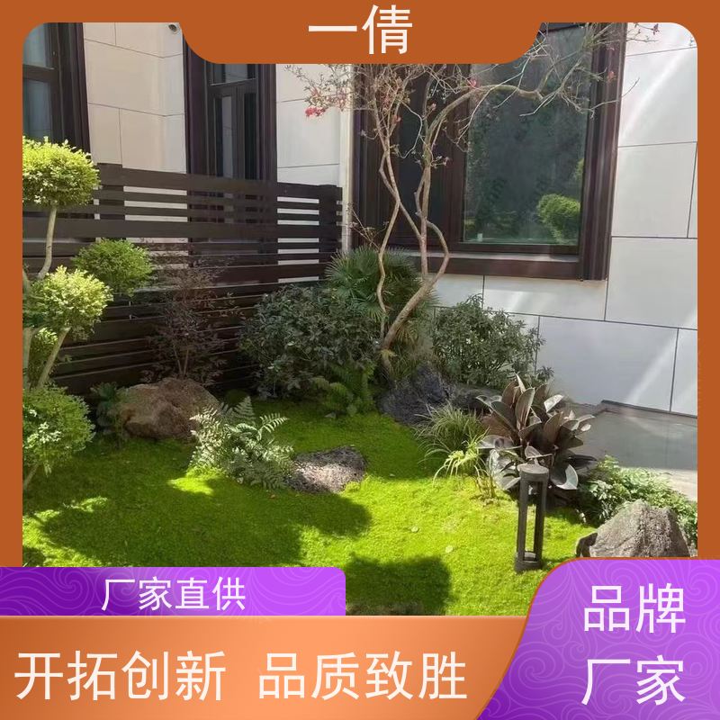 一倩花卉 办公室 高山榕 绿植租摆 种类繁多 规格齐全