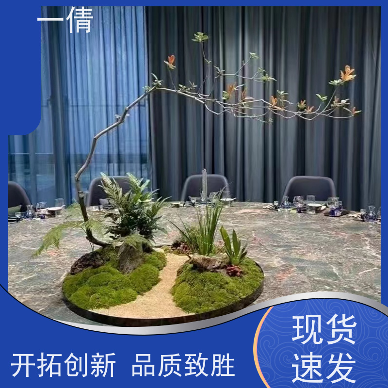 一倩花卉 前台 年桔盆景 开业花篮租赁 桌面绿植 花木护理