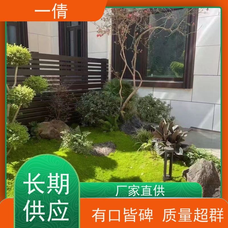 一倩花卉 办公室 爱心榕 绿植租赁 种类繁多 规格齐全