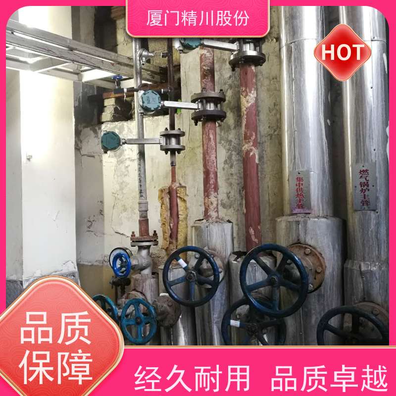 精川股份 电镀厂 锅炉蒸汽流量计 测量精度高 真实应用案例多