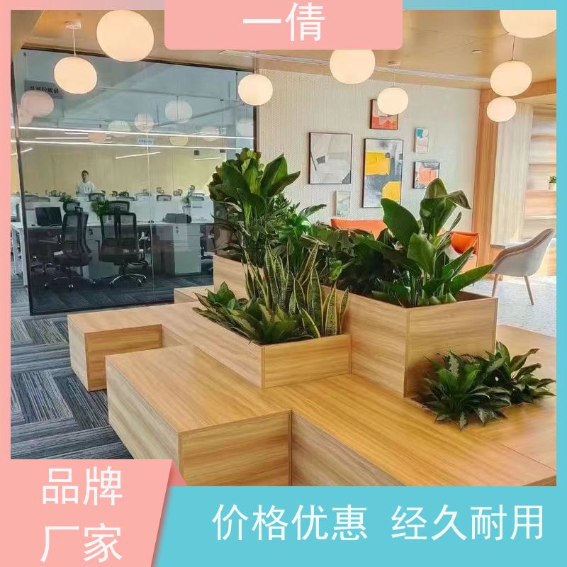 一倩花卉 前台 富贵树 室内植物出租 全城配送 上门养护