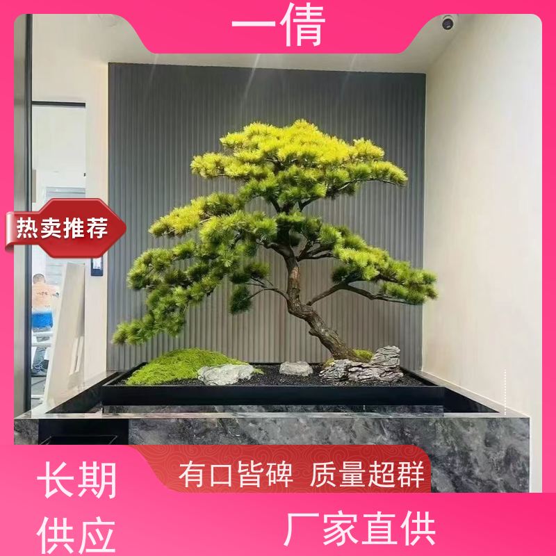 一倩花卉 前台 爱心榕 室内植物出租 桌面绿植 花木护理