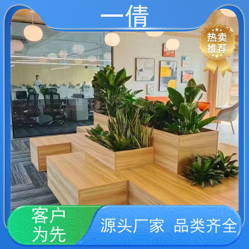 一倩花卉 前台 7寸盆四季桔 花卉租赁 种类繁多 规格齐全