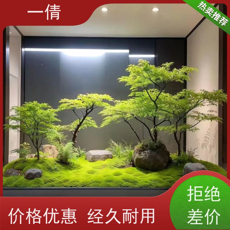 一倩花卉 办公室 君子兰 绿植出售 全城配送 上门养护