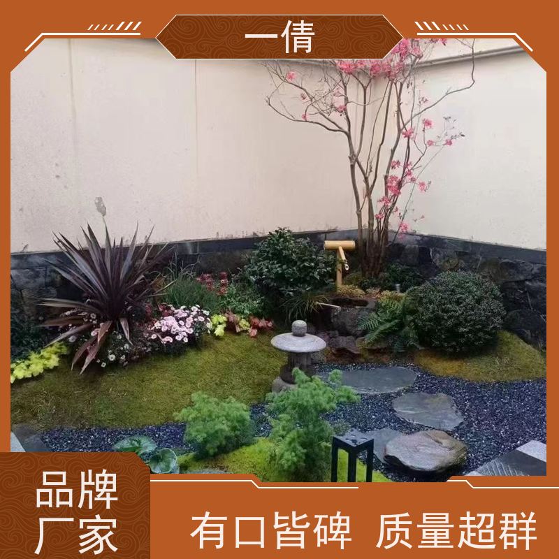 一倩花卉 办公室 鸭脚木 开业花篮租赁 全城配送 上门养护