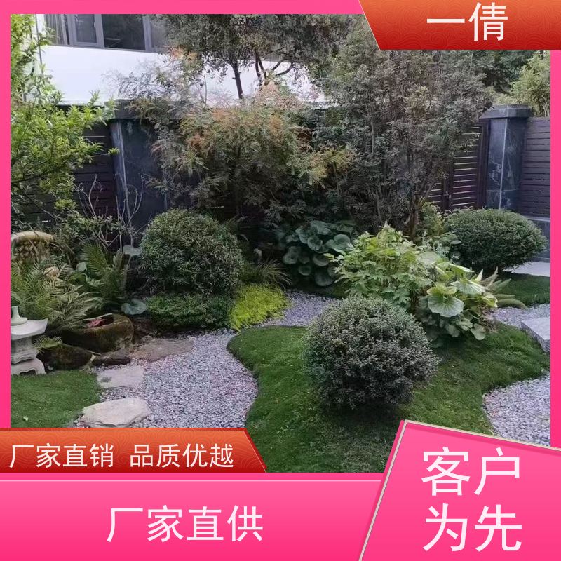 一倩花卉 前台 绿精灵 室内植物出租 桌面绿植 花木护理