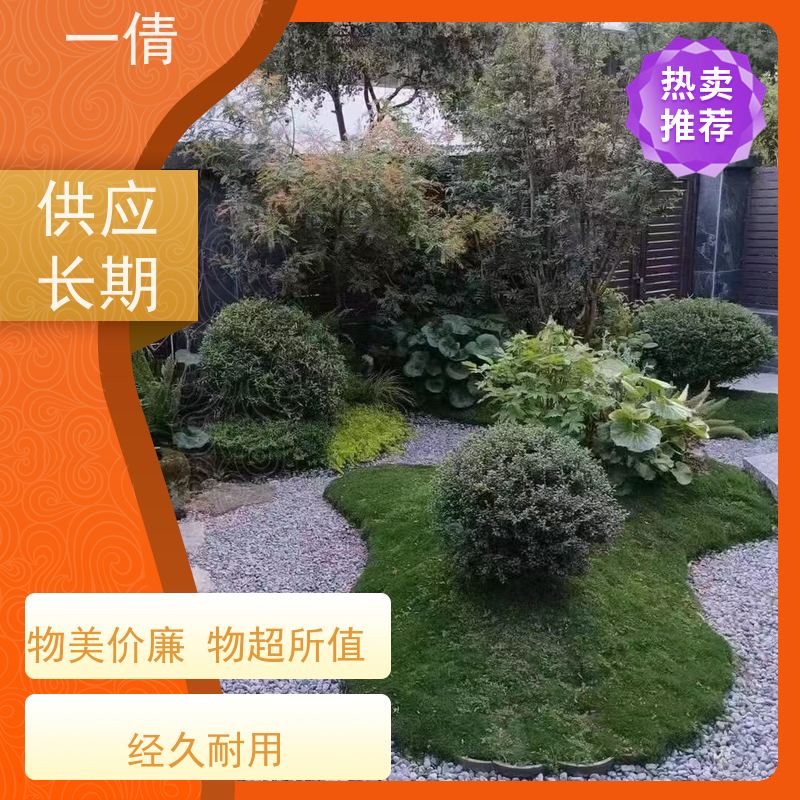 一倩花卉 室内 爱心榕 开业花篮租赁 全城配送 上门养护