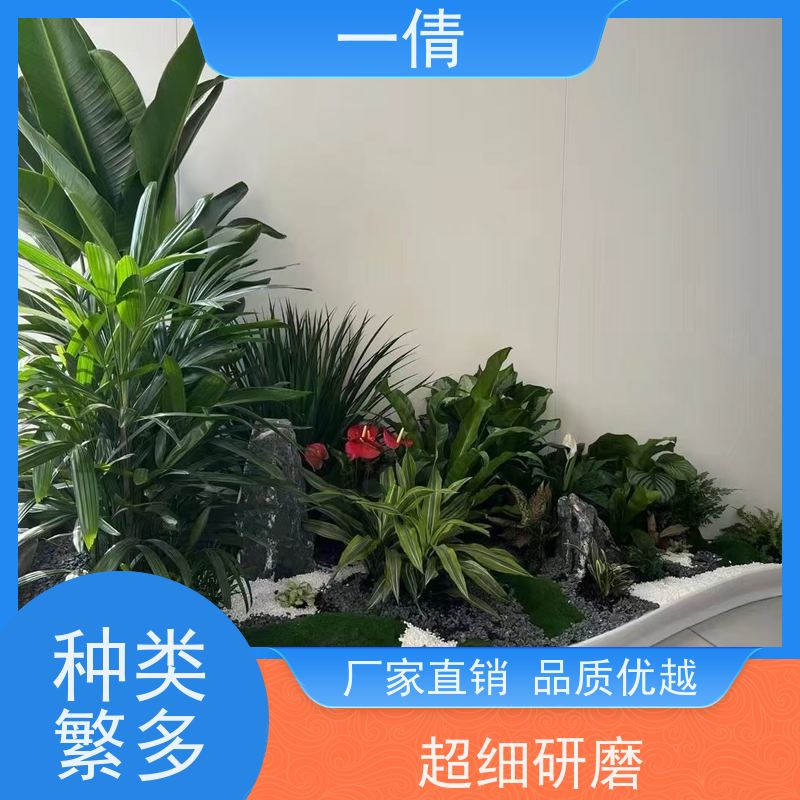 一倩花卉 室内 七彩铁 开业花篮租赁 种类繁多 规格齐全