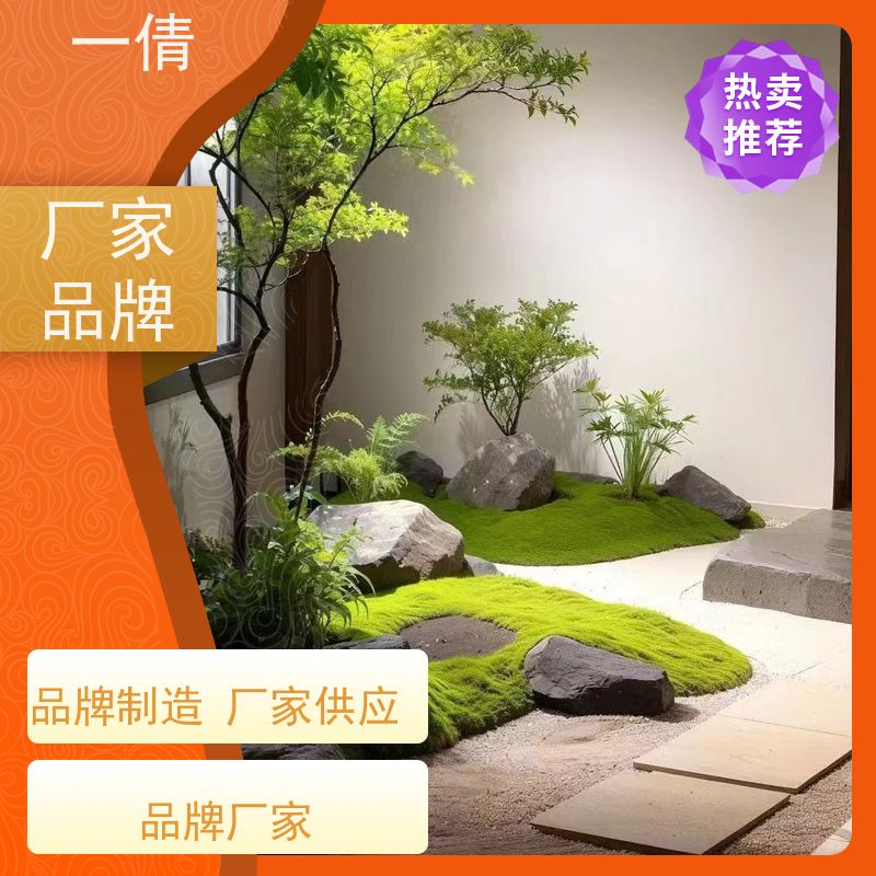 一倩花卉 深圳 虎尾兰 开业花篮租赁 桌面绿植 花木护理