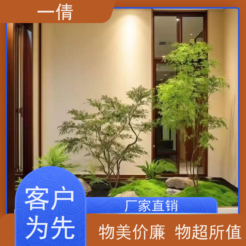 一倩花卉 深圳 橙蝴蝶兰 绿植租赁 全城配送 上门养护