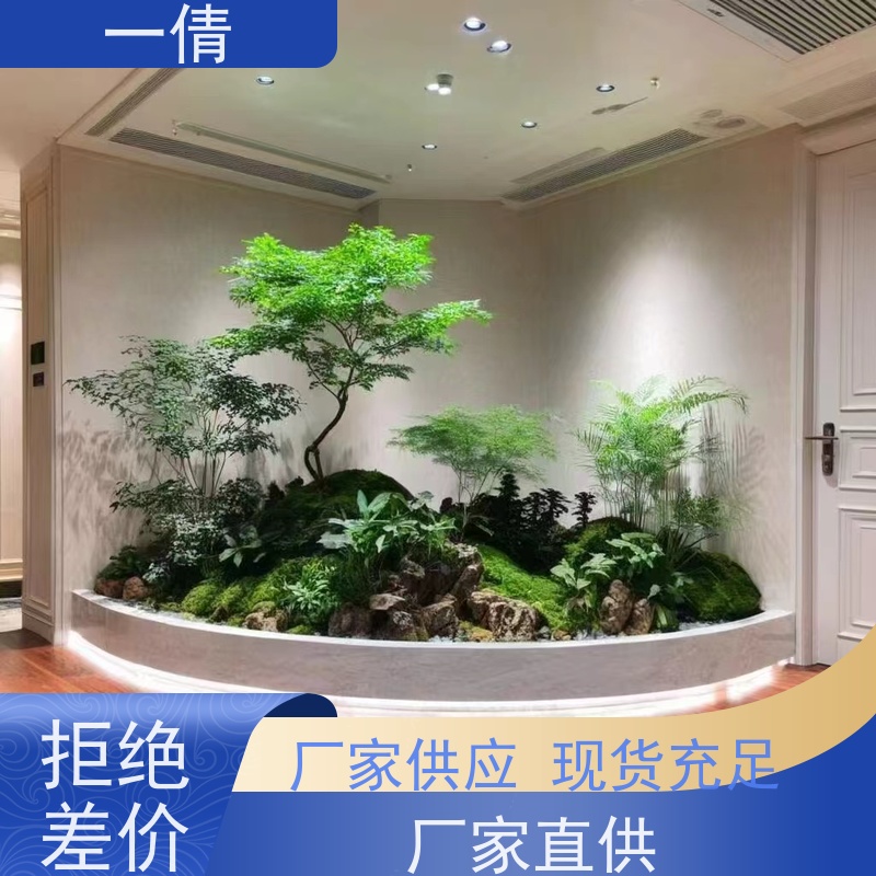 一倩花卉 办公室 年桔盆景 室内植物出租 桌面绿植 花木护理