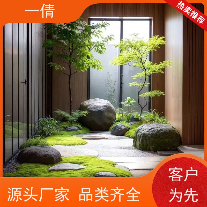 一倩花卉 前台 蓝宝石 室内植物出租 种类繁多 规格齐全
