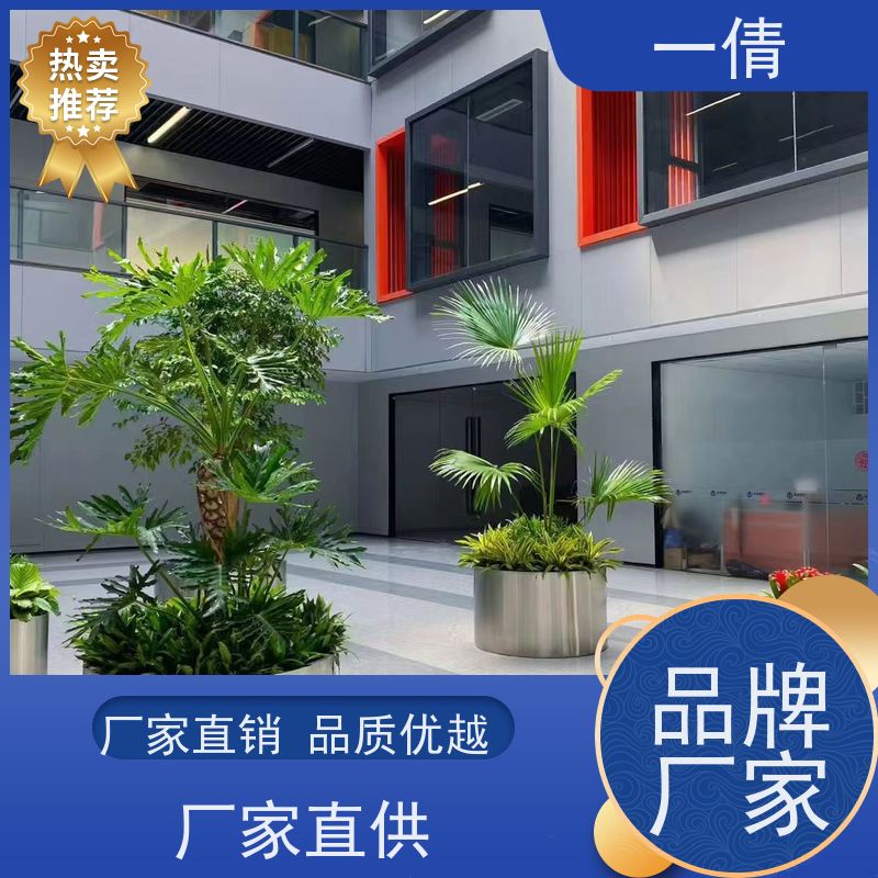 一倩花卉 前台 富贵籽 绿植出售 种类繁多 规格齐全