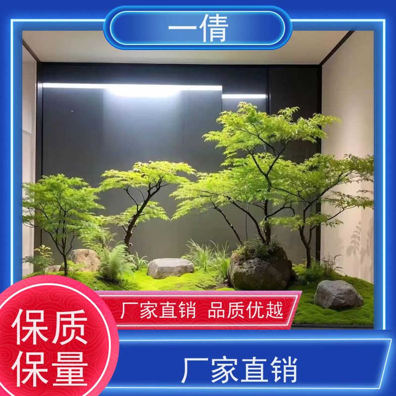 一倩花卉 深圳 春雨 室内植物出租 全城配送 上门养护