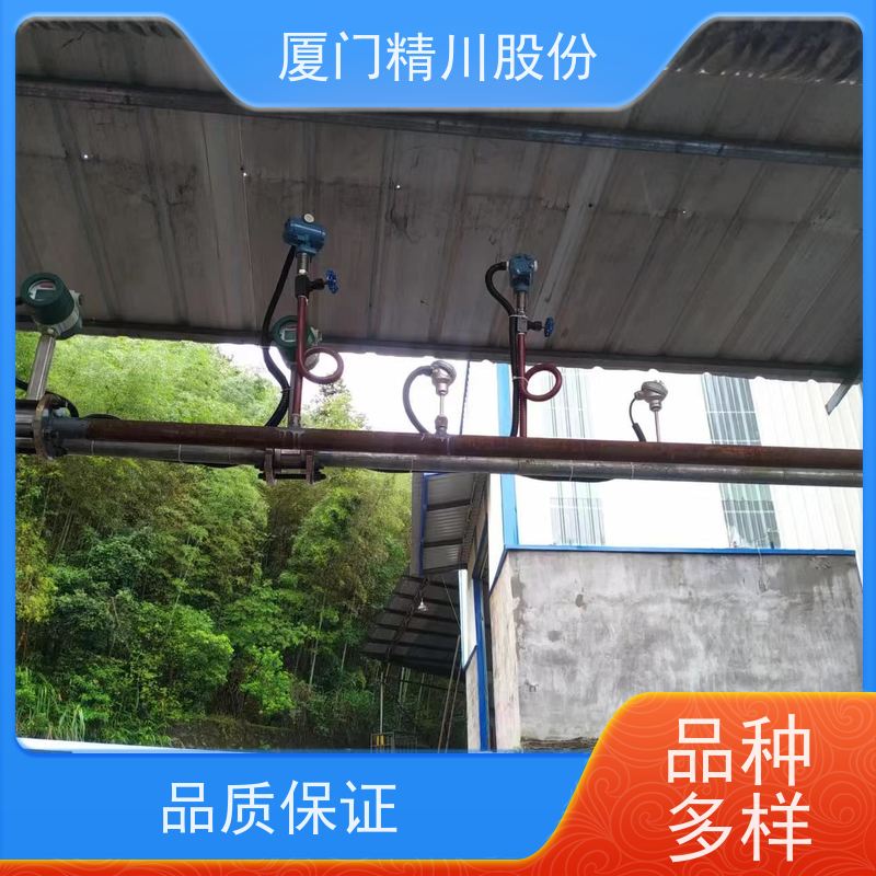 精川股份 PU皮革厂 锅炉蒸汽流量计 测量精度高 服务量少