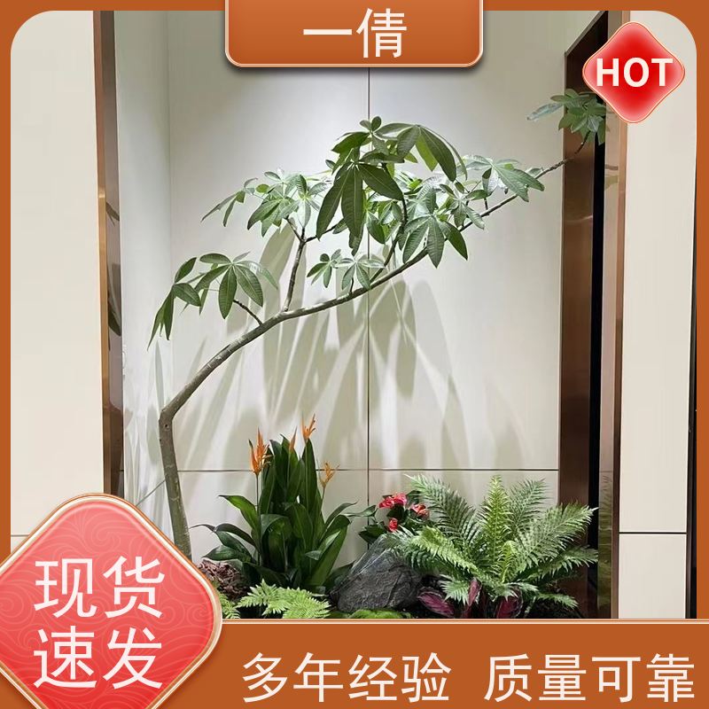 一倩花卉 办公室 春雨 绿植出售 种类繁多 规格齐全