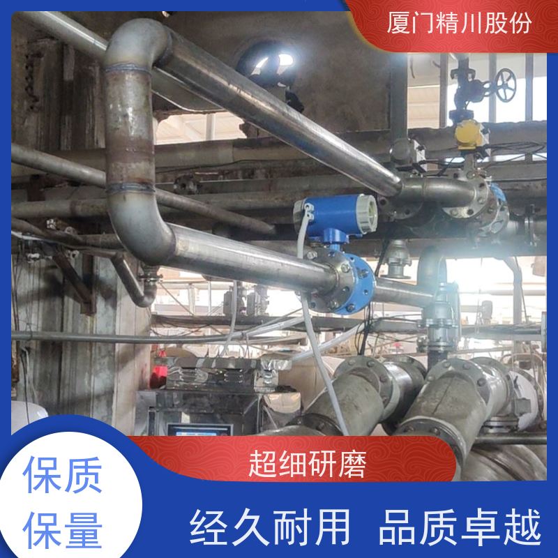 精川水质净化PAM加注流量计带接地环保证精度