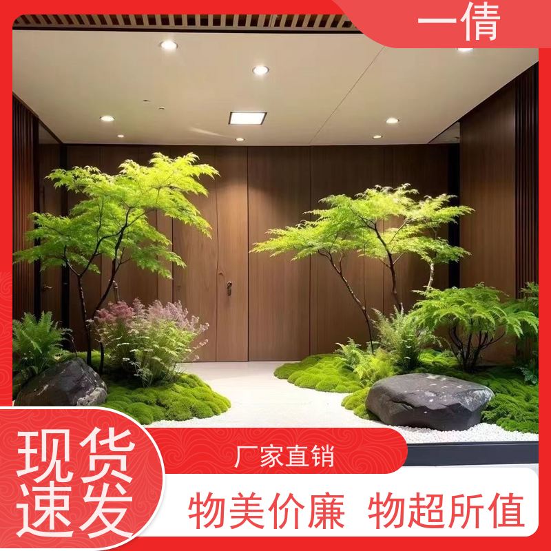 一倩花卉 前台 60盆四季桔 花卉租赁 种类繁多 规格齐全