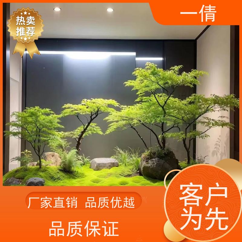 一倩花卉 前台 如意 绿植出售 全城配送 上门养护